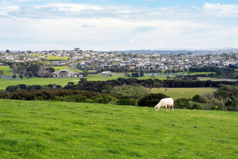 Remote view of Beachlands suburb of Auckland, New Zealand