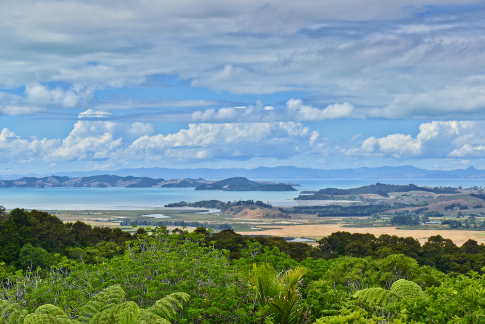 Clevedon Scenic Reserve. View from the top of the hill.